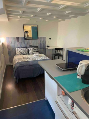 Charming Studio on House Boat